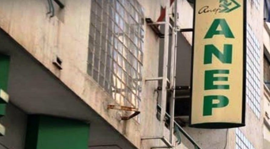 Ministry of Communication... Terminating the duties of Director of ANEP - New Algeria