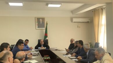 New training offers at universities for the year 2024-2025 - New Algeria