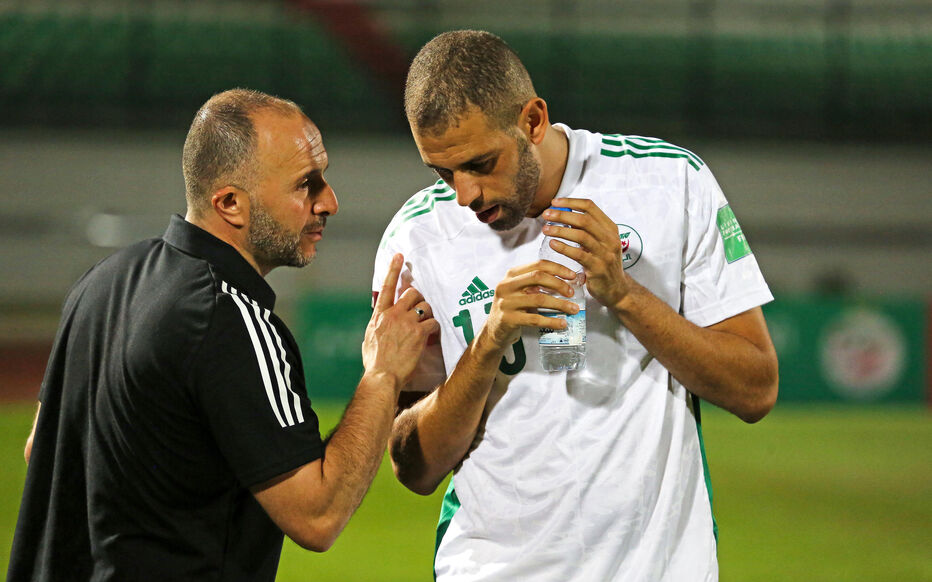 The South African coach indirectly criticizes Belmadi - New Algeria