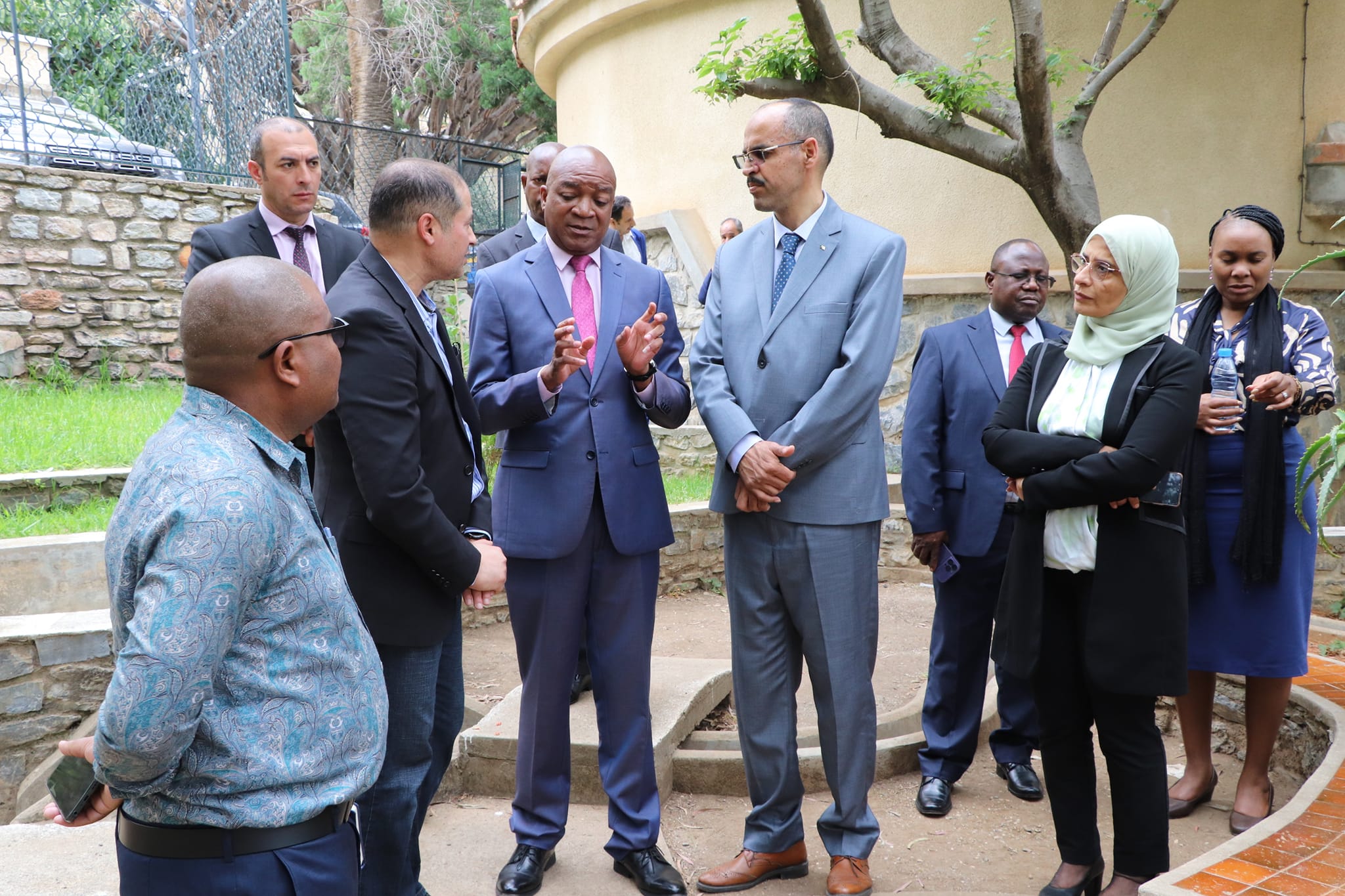 Algerian-Zambian cooperation in this field - New Algeria