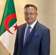 Launching the first artificial intelligence platform for baccalaureate degree holders, session 2024 - New Algeria