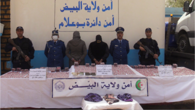 Overthrow of a national network specialized in promoting hallucinogenic tablets - New Algeria