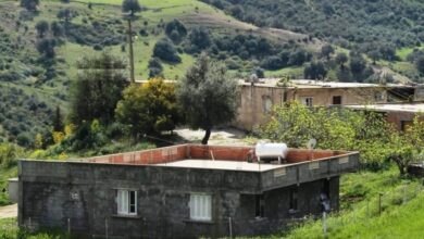 fnpos aid.. Beginning the disbursement of financial grants starting from this date - New Algeria