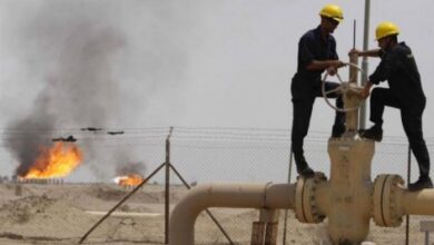 Algerian-Norwegian cooperation in the field of hydrocarbons - New Algeria