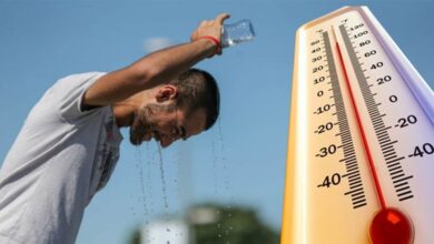 High temperatures in these states - New Algeria