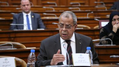 Important.. Importing 159 thousand cars - New Algeria