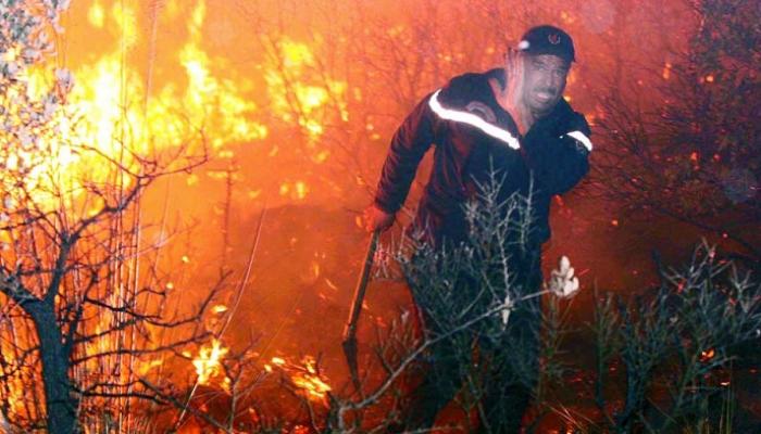 Murad stresses the need to intensify efforts to protect forests from fires - New Algeria