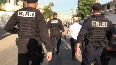 Night police operations result in the arrest of 347 suspects in the capital - New Algiers