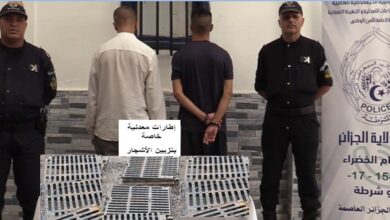 The capital police overthrow a criminal network specialized in theft - New Algeria