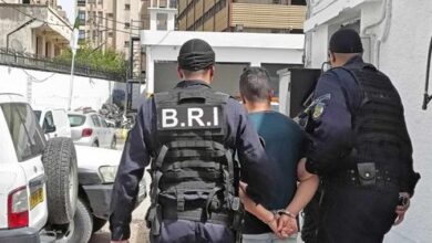 This is the tally of El Bayadh police services for the month of April - New Algeria