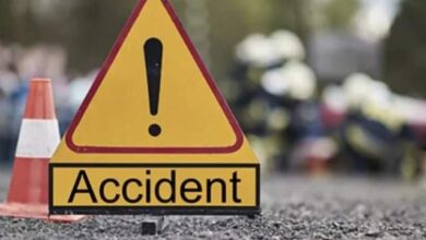 47 people died in traffic accidents within a week - New Algeria