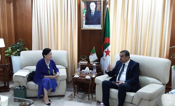 Arkab receives the Vice President of the Korean company “GB Energy Global” - Al-Hiwar Algeria