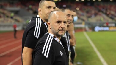 Belmadi is close to joining this club - New Algeria