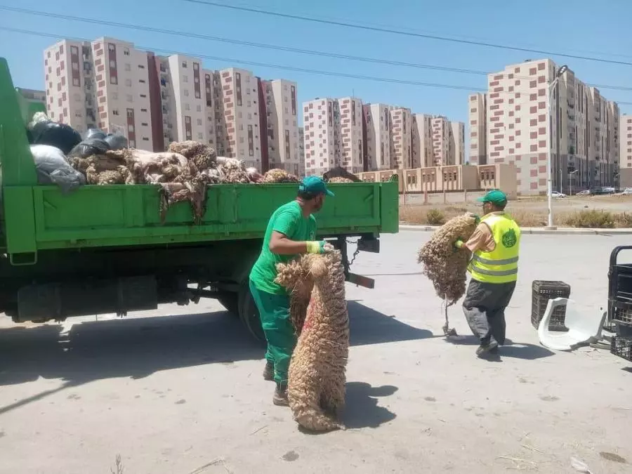 Dr. Hoda Jaafari: We expect to collect approximately 3 million skins of Eid sacrifices during the year 2024 - Algerian Dialogue