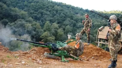 Eliminating a terrorist in Ain Defla - New Algeria