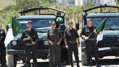 Forestry Directorate: Banning barbecue stoves and camping in these places - New Algeria