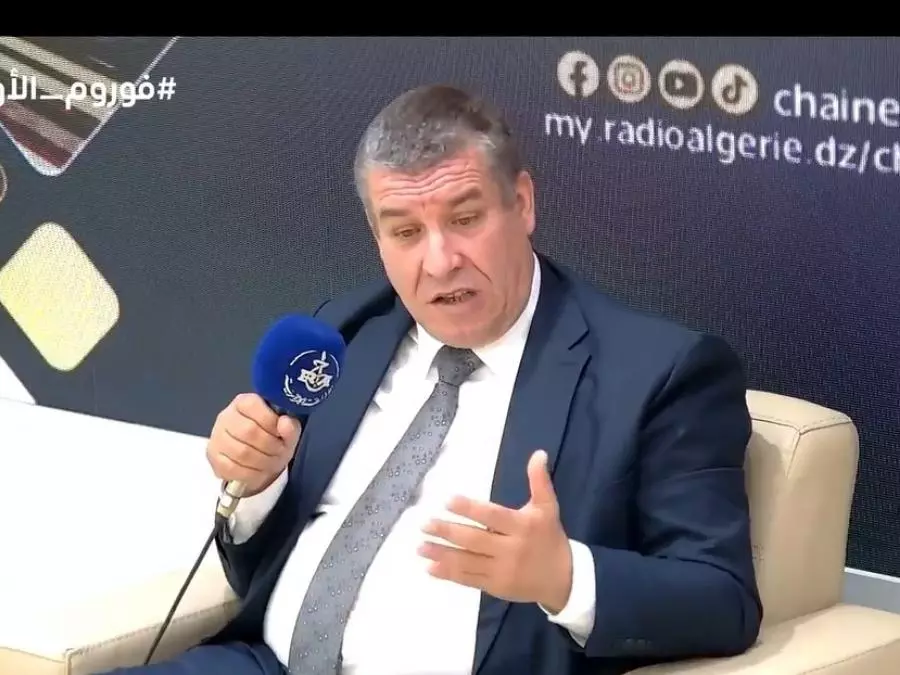 Hambali: Investment in the south will allow the creation of industrial poles - Algerian Dialogue