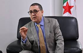 Minister of Interior: This is the date for holding partial elections in the new states - New Algeria