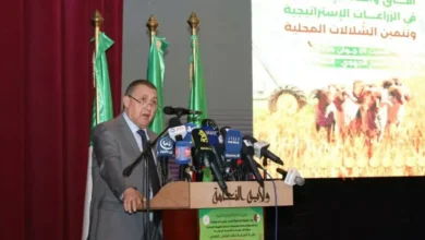 Murad: The Naama Forum lays the foundations for a new development policy in all regions of the country - Algerian Dialogue