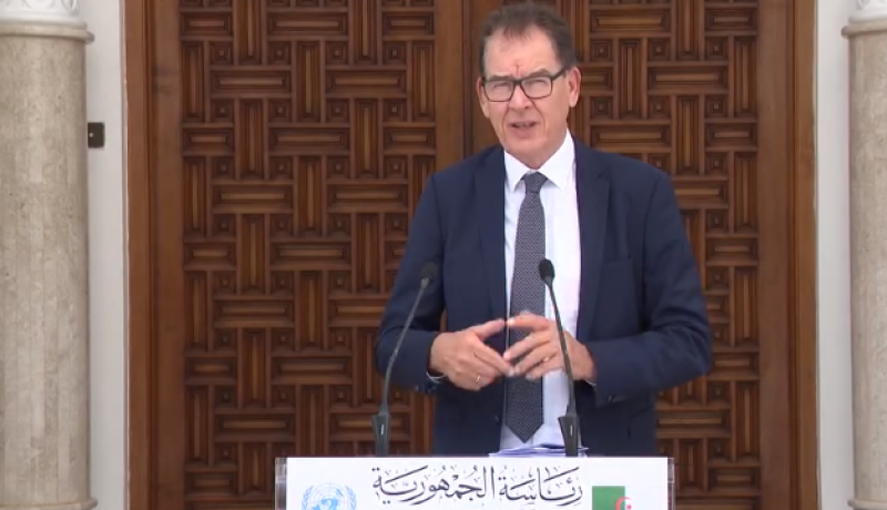 New horizons for cooperation between Algeria and the United Nations Industrial Development Organization - New Algeria