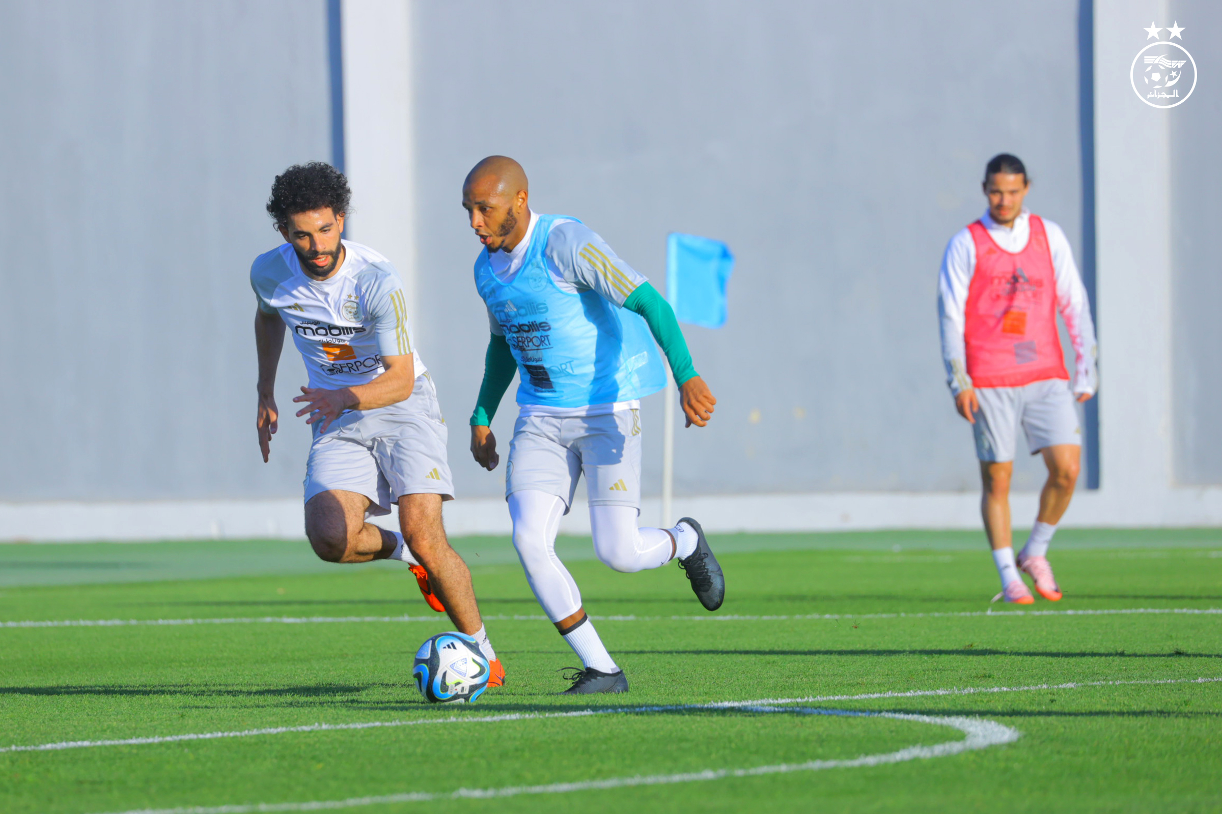 Petkovic is inspired by Real Madrid's plans to correct the mistakes of the "Greens" - New Algeria