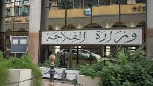 Production of grains and legumes...signing an agreement with an Italian group - New Algeria