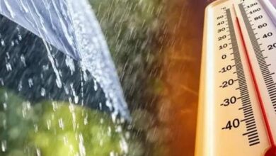 Rain and winds expected in these states - New Algeria