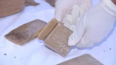 Security services seized 53 kg of processed kif coming from Morocco - New Algeria