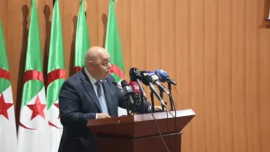 The Supreme Council for Youth, the locomotive of youth for achieving comprehensive development - New Algeria