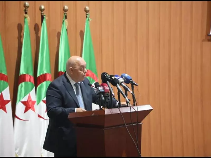 The Supreme Council for Youth, the locomotive of youth for achieving comprehensive development - New Algeria