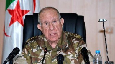 The army will remain on the lookout for anyone behind the drug smuggling phenomenon - New Algeria
