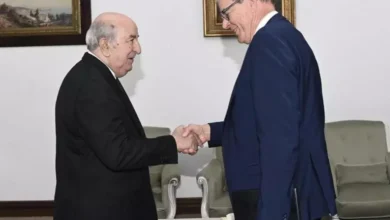 UN Director General for Industrial Development: We are interested in establishing a new partnership with Algeria - Algerian Dialogue