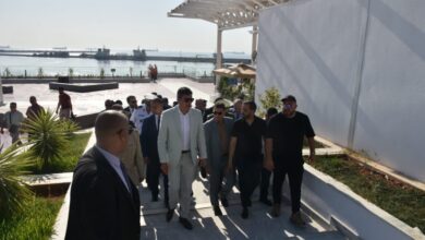 A special program to stimulate the city of Algeria during the summer season