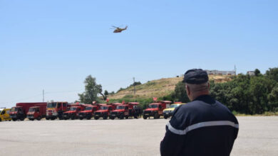 Field national maneuver to simulate forest fires