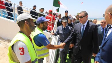 Said is directed to provide transportation during the summer season