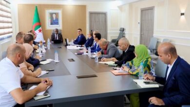 Haidawi chairs an evaluation meeting with the central tires of the Ministry of Youth - New Algeria