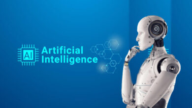 Algeria crowns three medals in this competition - New Algeria