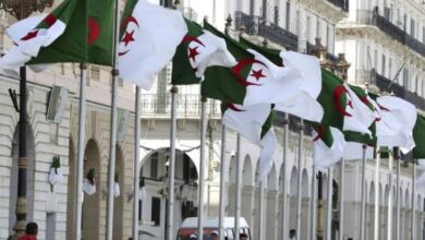 Algeria is at the top of the empowerment of young people locally and internationally