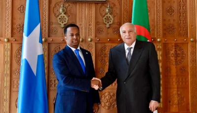 Atf receives the Somali Foreign Minister - New Algeria
