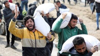 Better than death hunger .. Gaza stories ventures under the showers of fire