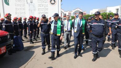 Bogalf inspects the measures to combat forest fires in the west of the country - New Algeria