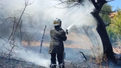 Breaches fires in 11 states - new Algeria