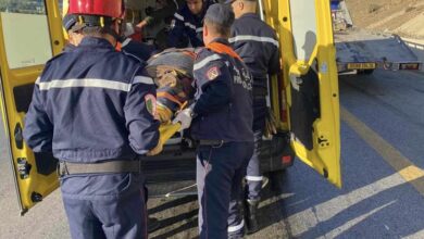 Civil protection outcome within 24 hours - New Algeria