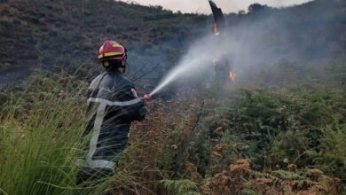 Control of most of the forest fires in these states - New Algeria