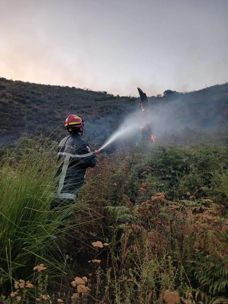 Control of most of the forest fires in these states - New Algeria