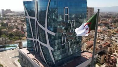 Edit 3.. These penalties await the promoters of false news - New Algeria