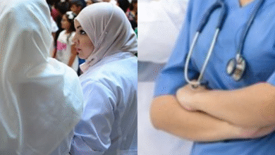 Employment of more than 40,000 students in these sectors - New Algeria