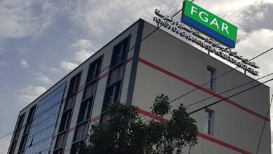 Financing small and medium enterprises .. guarantees exceeding 35 billion dinars - new Algeria