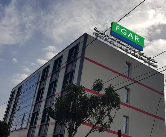 Financing small and medium enterprises .. guarantees exceeding 35 billion dinars - new Algeria