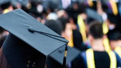 Learn about the new doctorate and the new master for the next season - new Algeria